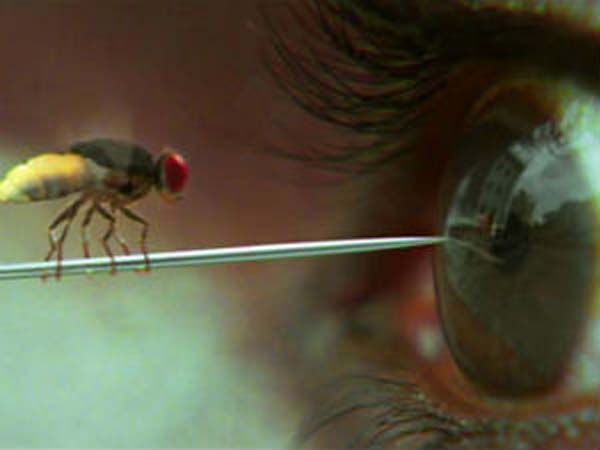 సిలిండర్ పేలుడు..