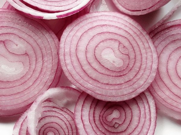  ఉల్లిపాయ