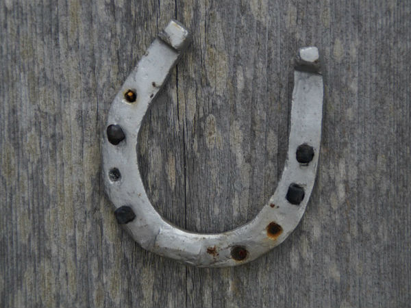 ప్రతికూల శక్తులను తొలగించడానికి..