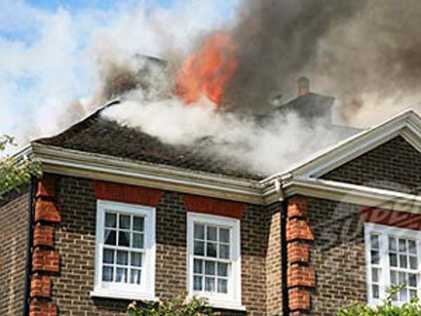 ఈగ చచ్చిందా?