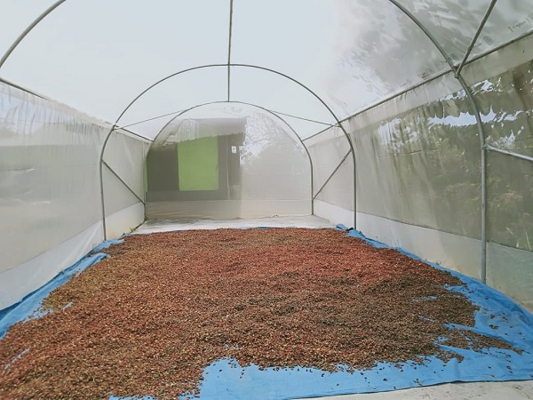 భూపేష్ మాట..