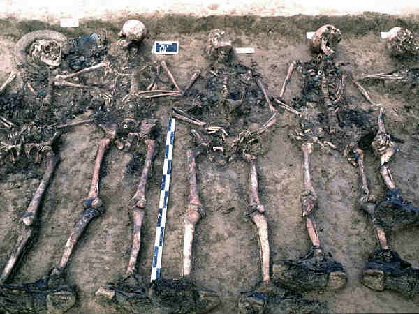 తదుపరి పాలకుడు తదుపరి పాలకుడు