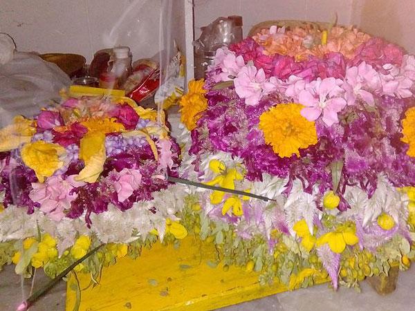 విభిన్నమై పూలను..