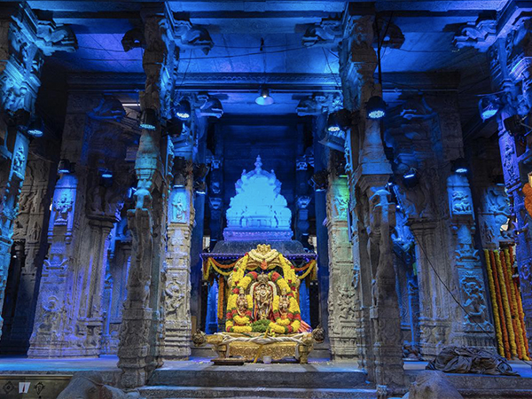 హంస వాహనం..