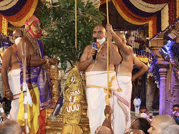 కల్పవృక్ష వాహనంపై..