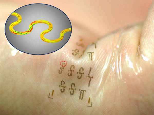 python-bites-man-s-penis-on-the-toilet