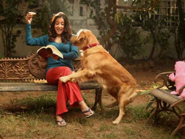 కుక్క కరిచినట్టు..