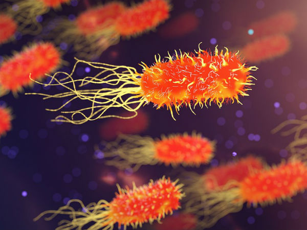 7. హానికరమైన జెర్మ్స్ తీరానికి చేరుకోలేవు: