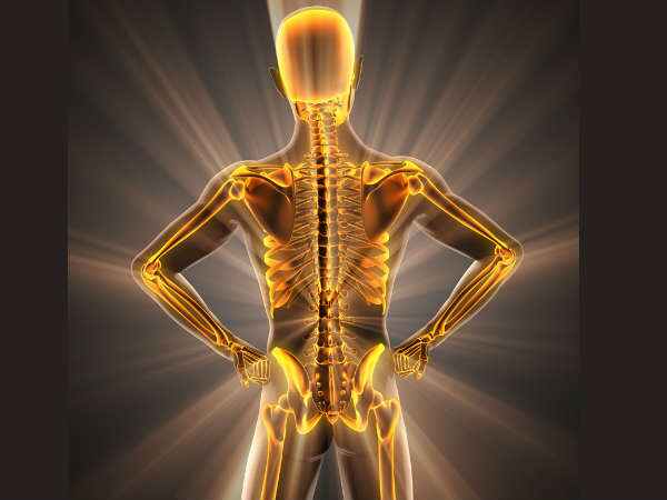 ఎముకలకు ఎముకలకు