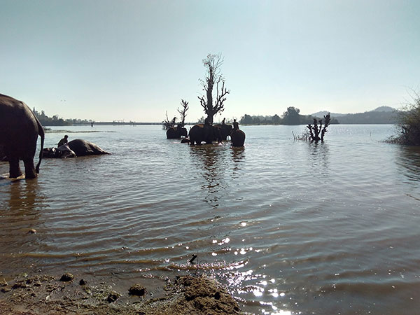 సంగమేశ్వరం వద్ద