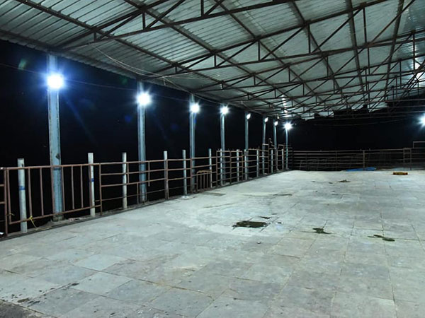 జీవరాశులకు ప్రధానం..