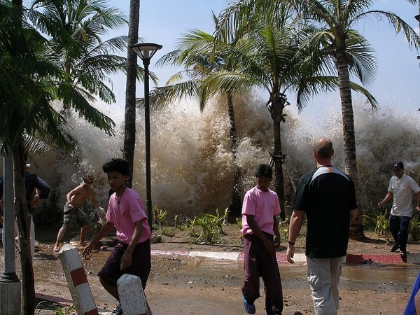 World tsunami day 2020 : Date, significance and history in Telugu