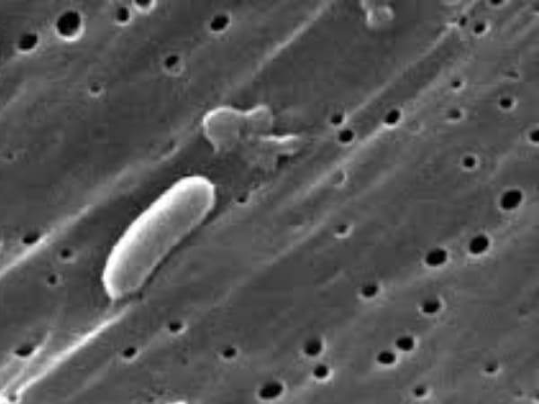 డెంగ్యూ నివారణలో మీరు చేయకూడని 5 తప్పులు