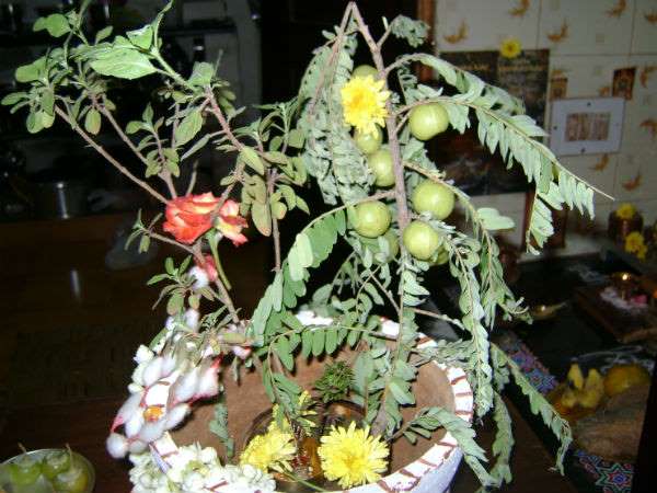 తులసి మొక్కను గౌరీదేవిగా 