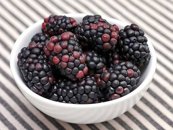 నల్ల రేగు పండ్లు