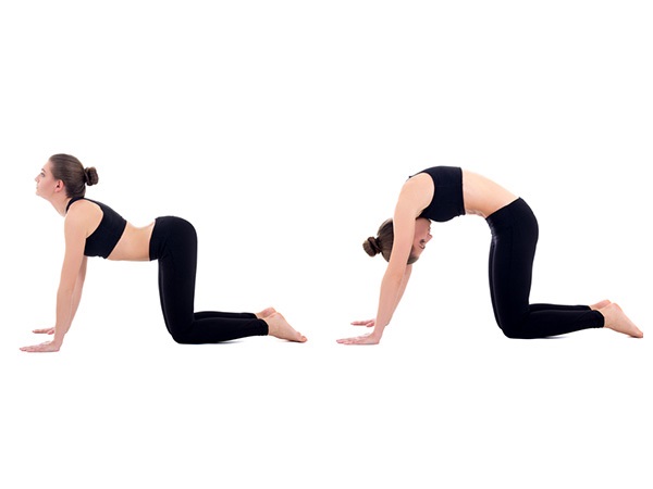 2. ఆవు లేదా పిల్లి భంగిమ: - (క్యాట్-కౌ స్ట్రెచ్)