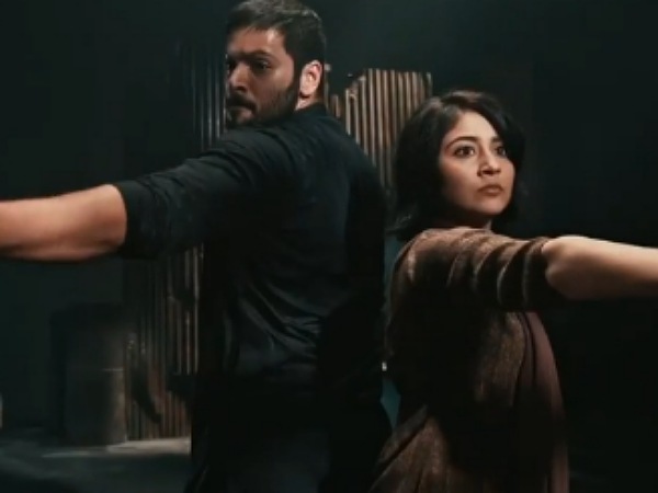 వెబ్ సీరిస్ విషయానికొస్తే..