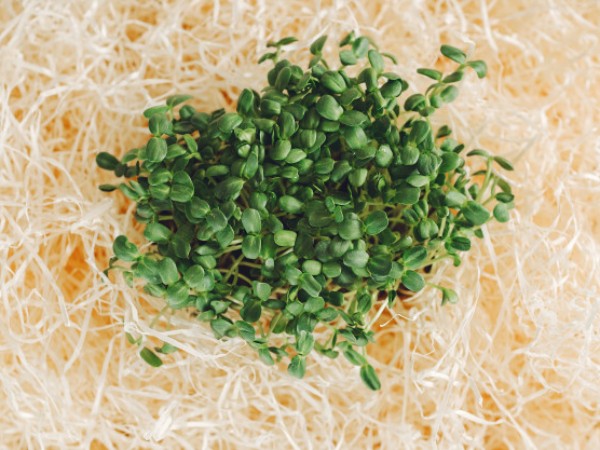 3. పచ్చి మొలకలు