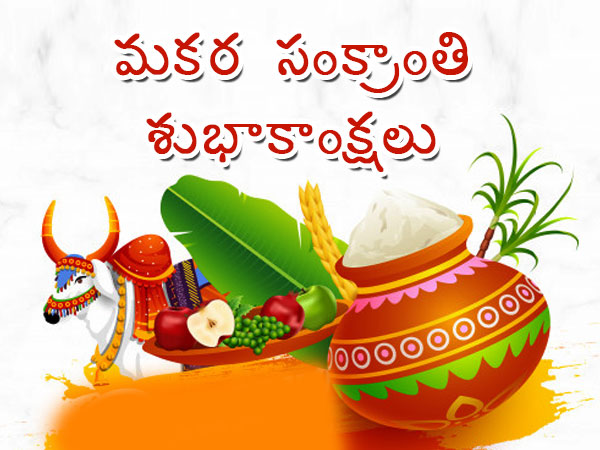 Makar Sankranti 2023 Wishes, Greetings, Quotes, Messages, Facebook and Whatsapp Status Messages in Telugu