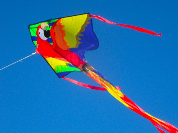 జనవరిలోనే ఎందుకంటే..