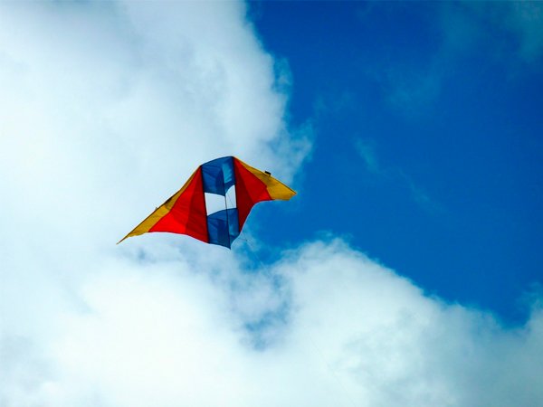 డాబాలపై చేరి..