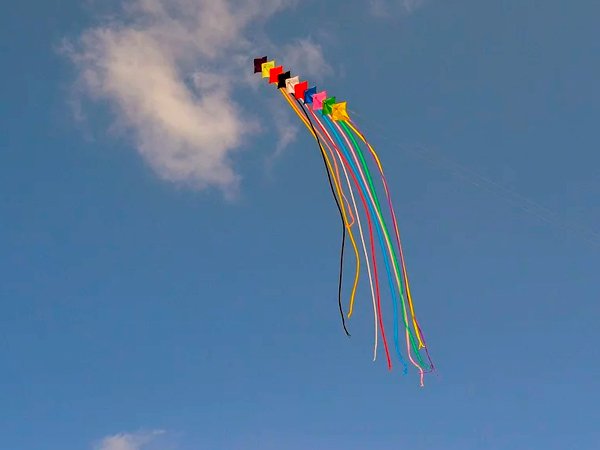 మన హైదరాబాదులో..