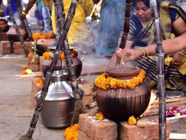 రెవ్డిలో సగటు కేలరీలు ఉన్నాయి