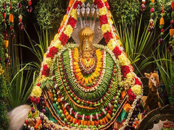 Shakambhari Purnima 2021 : Importance and Puja vidhi