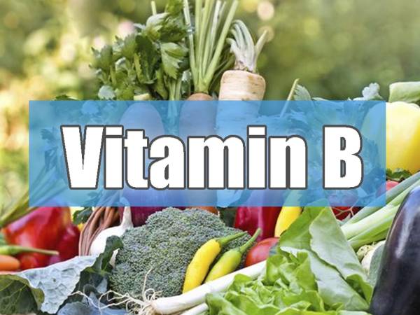 విటమిన్ బి