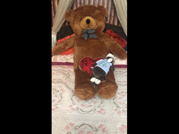 టెడ్డీనే కాకుండా..