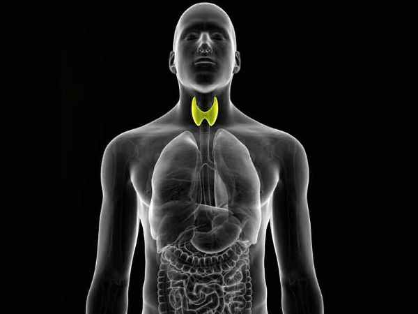 థైరాయిడ్ గ్రంథి పనితీరుకు దోహదం చేస్తుంది