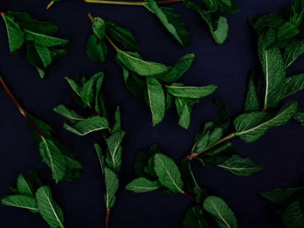 4. పుదీనా