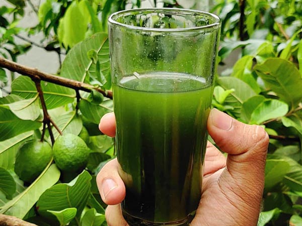 ఇది ఎలా సహాయపడుతుంది