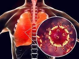 Best and Worst Foods for Lung Health in Telugu