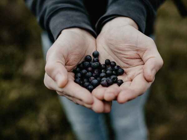  నిర్ధారణ