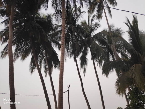 ఓ గిరిజన గ్రామం..