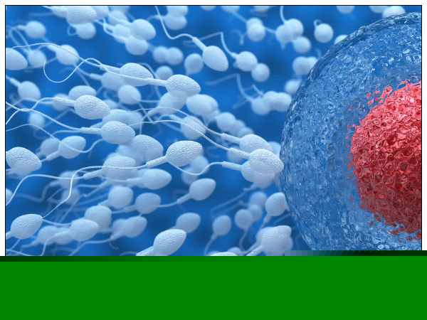 స్పెర్మ్ లోపం..