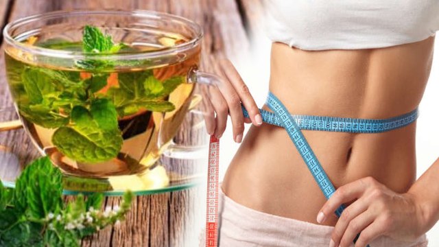 Ways To Use Mint(Pudina)Leaf For Weight Loss in Telugu
