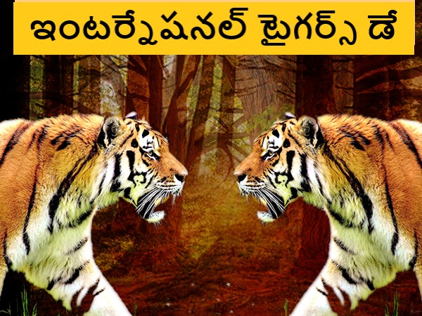 International Tiger Day: Theme 2021, History, Quotes & Slogans in Telugu