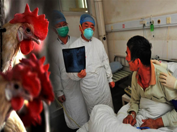 First Bird Flu Death at AIIMS in India: All You Want to Know About Influenza Virus in Telugu