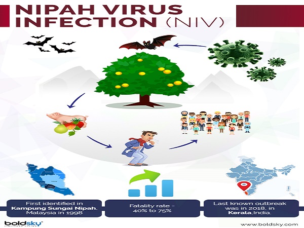 నిఫా వైరస్ అంటే ఏమిటి?