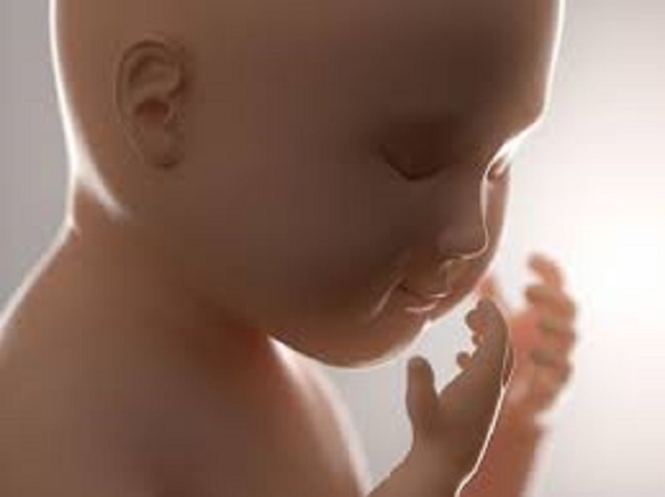 ప్రసవానికి ముందు శిశువు పరిస్థితి