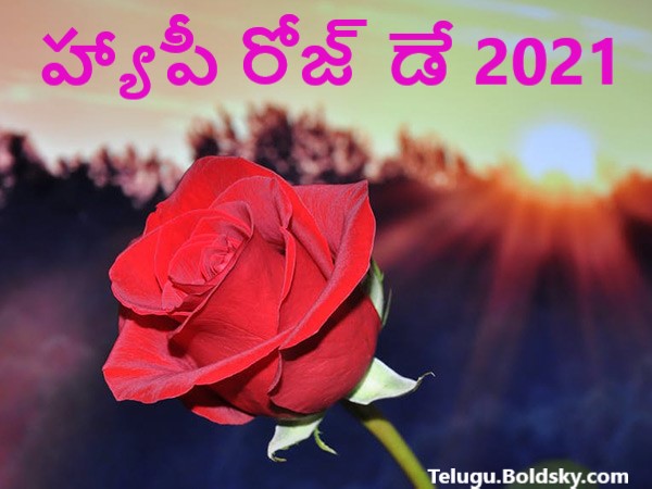 World Rose Day 2021: Know the History, Theme and Significance