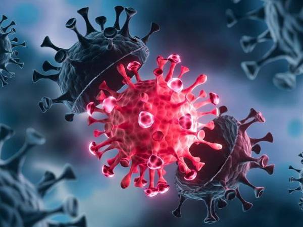 రోగ నిరోధక శక్తి మార్పు..