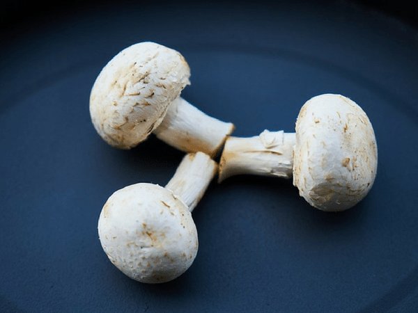 రక్తంలో చక్కెర తగ్గించడం