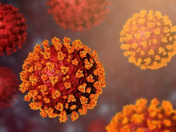 Omicron Covid variant reported in India: Precautions you should take to stay protected in telugu