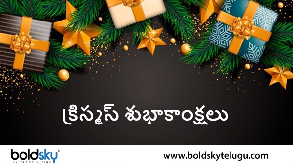 Interesting and Surprising Facts about Christmas in Telugu