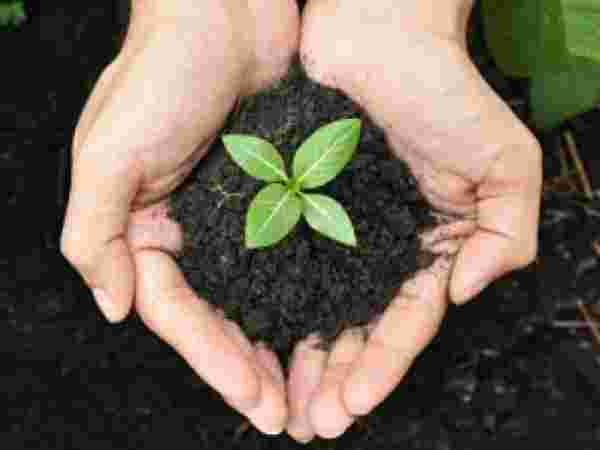 4) మంచి నేల