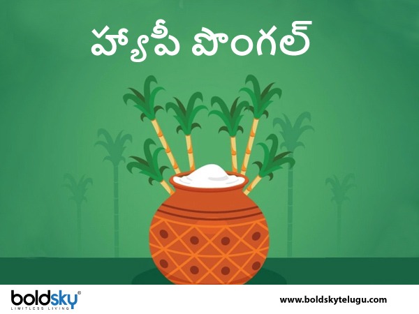 ఉత్తర దిశలో పయనం..