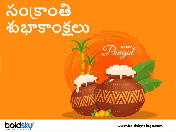 సంక్రాంతి సమయంలో..